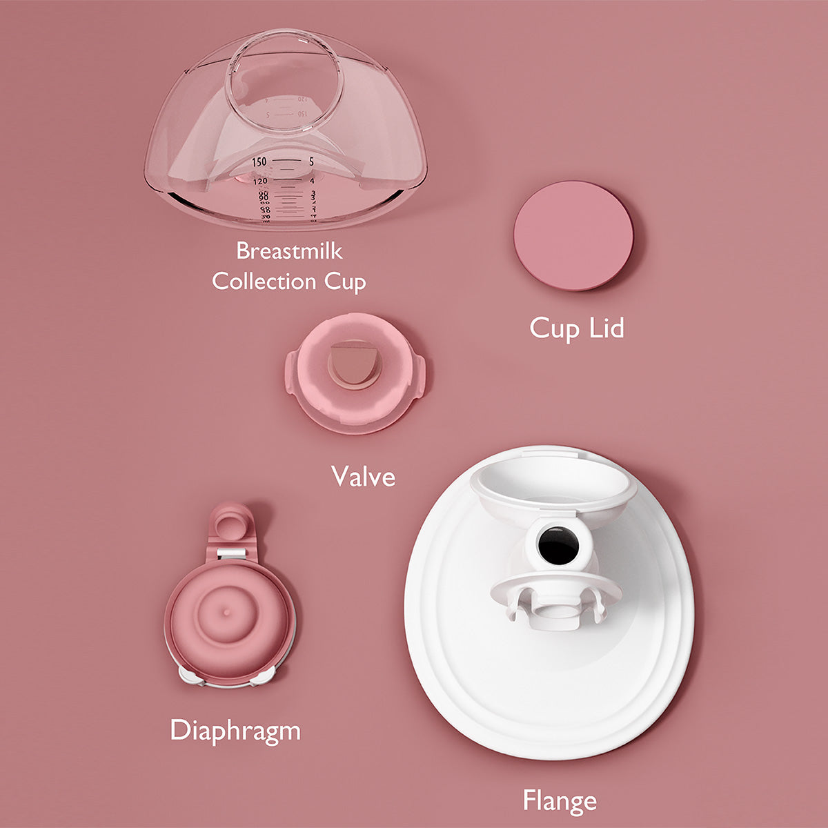 M5, 6, 9 Replacement Collector Cup - Full Set